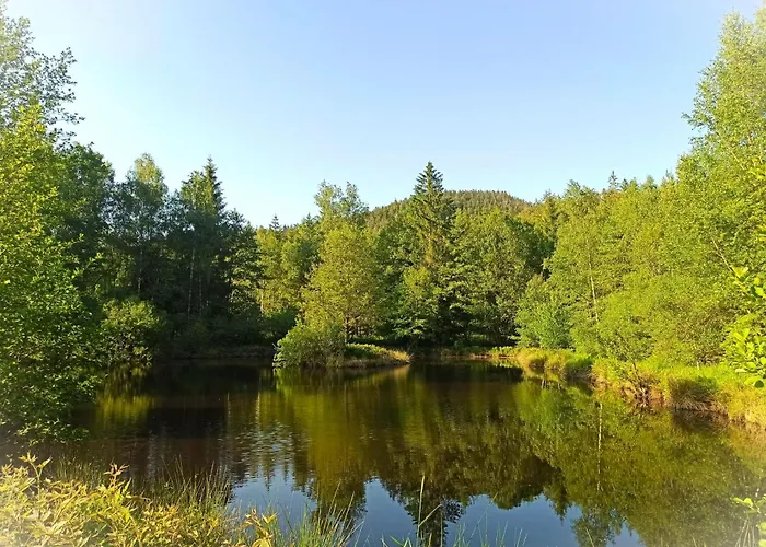 Domaine De Marmonfosse Taintrux