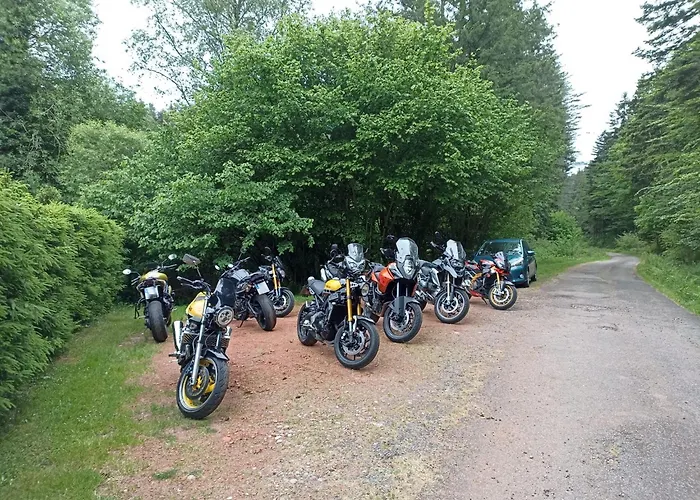 Domaine De Marmonfosse *