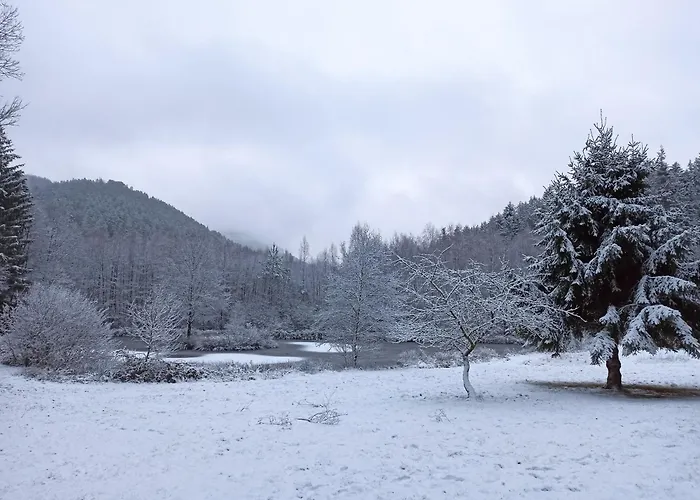 Domaine De Marmonfosse